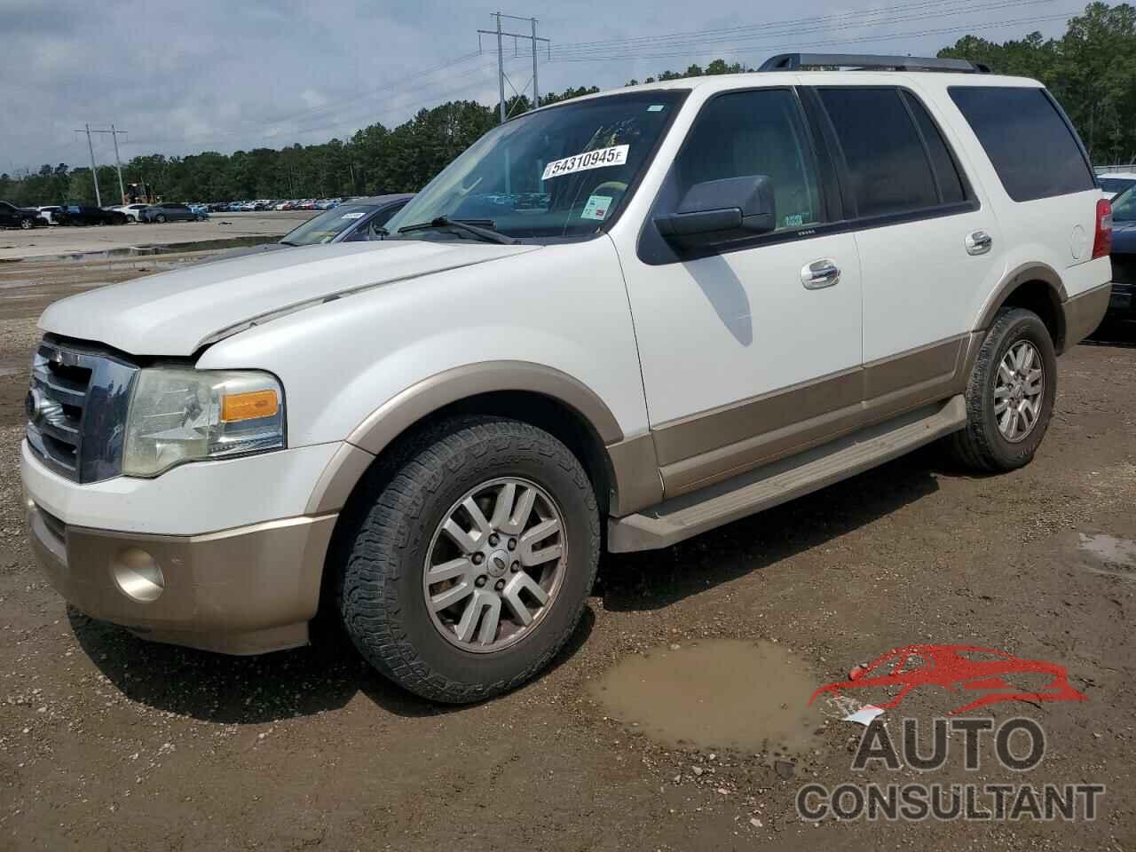 FORD EXPEDITION 2011 - 1FMJU1H57BEF40462