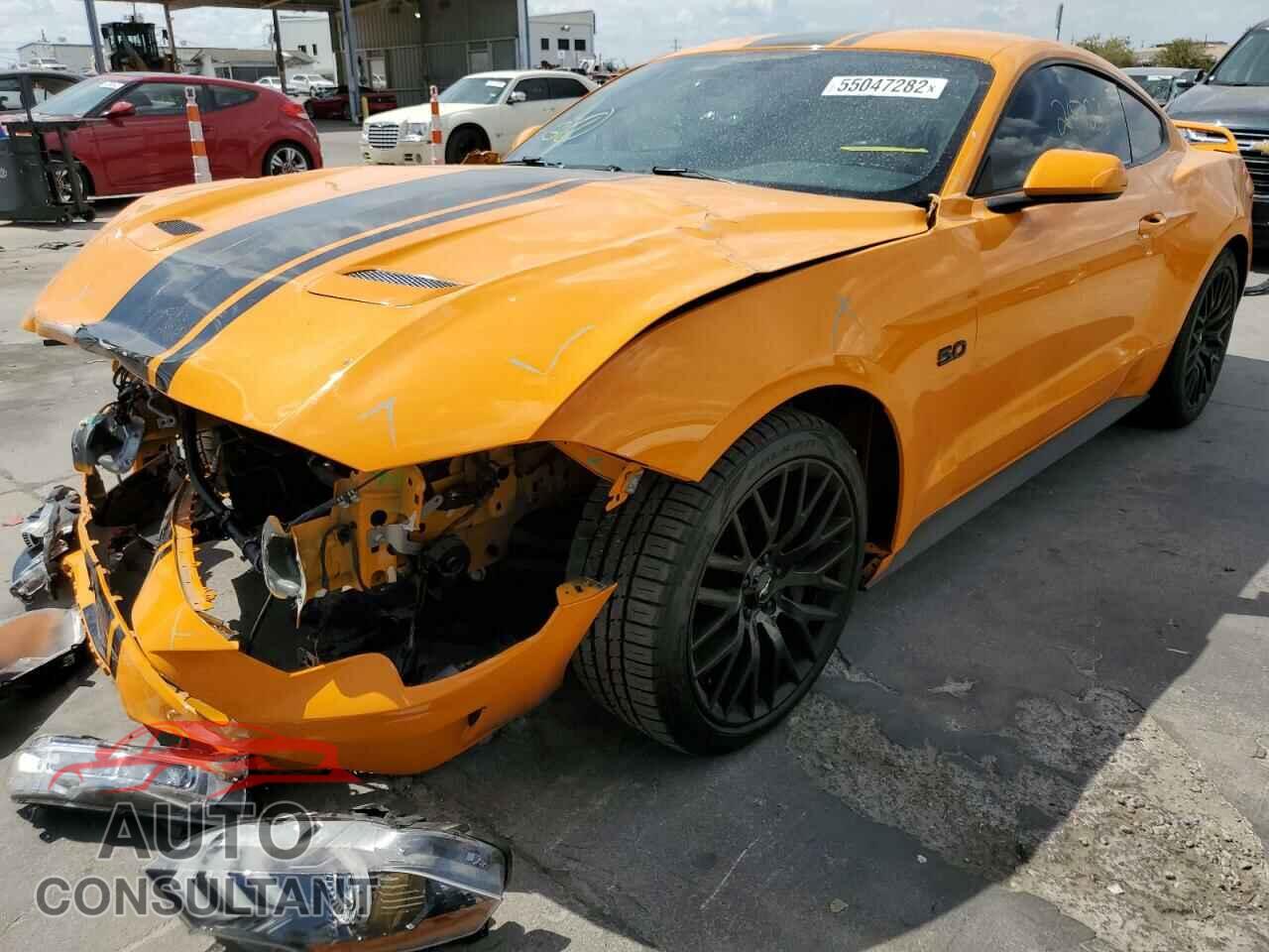 FORD MUSTANG 2019 - 1FA6P8CF2K5116896