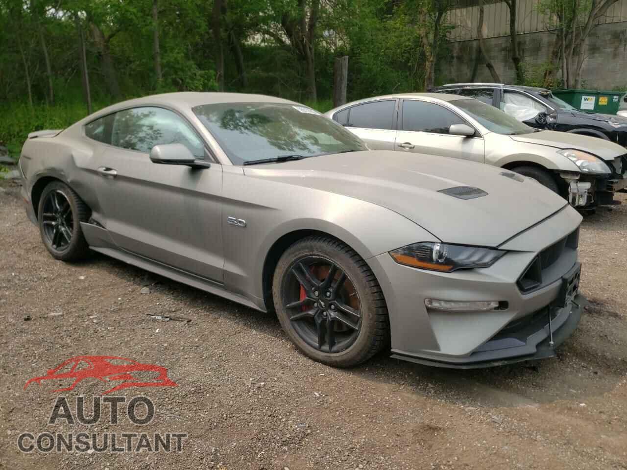 FORD MUSTANG 2019 - 1FA6P8CF0K5159987