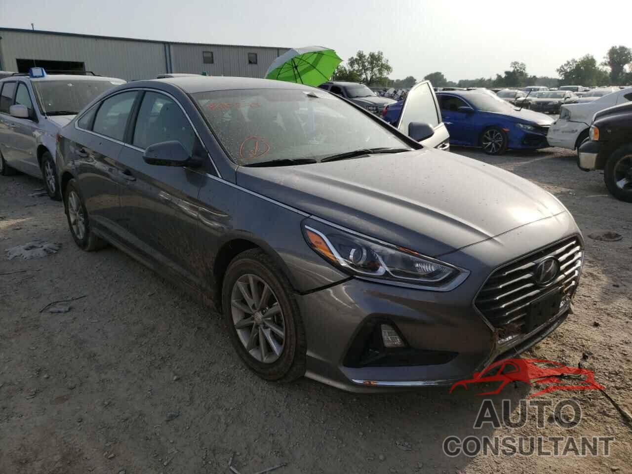 HYUNDAI SONATA 2019 - 5NPE24AF7KH800343