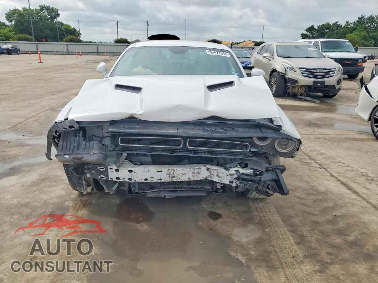 DODGE CHALLENGER 2023 - 2C3CDZGG5PH681291