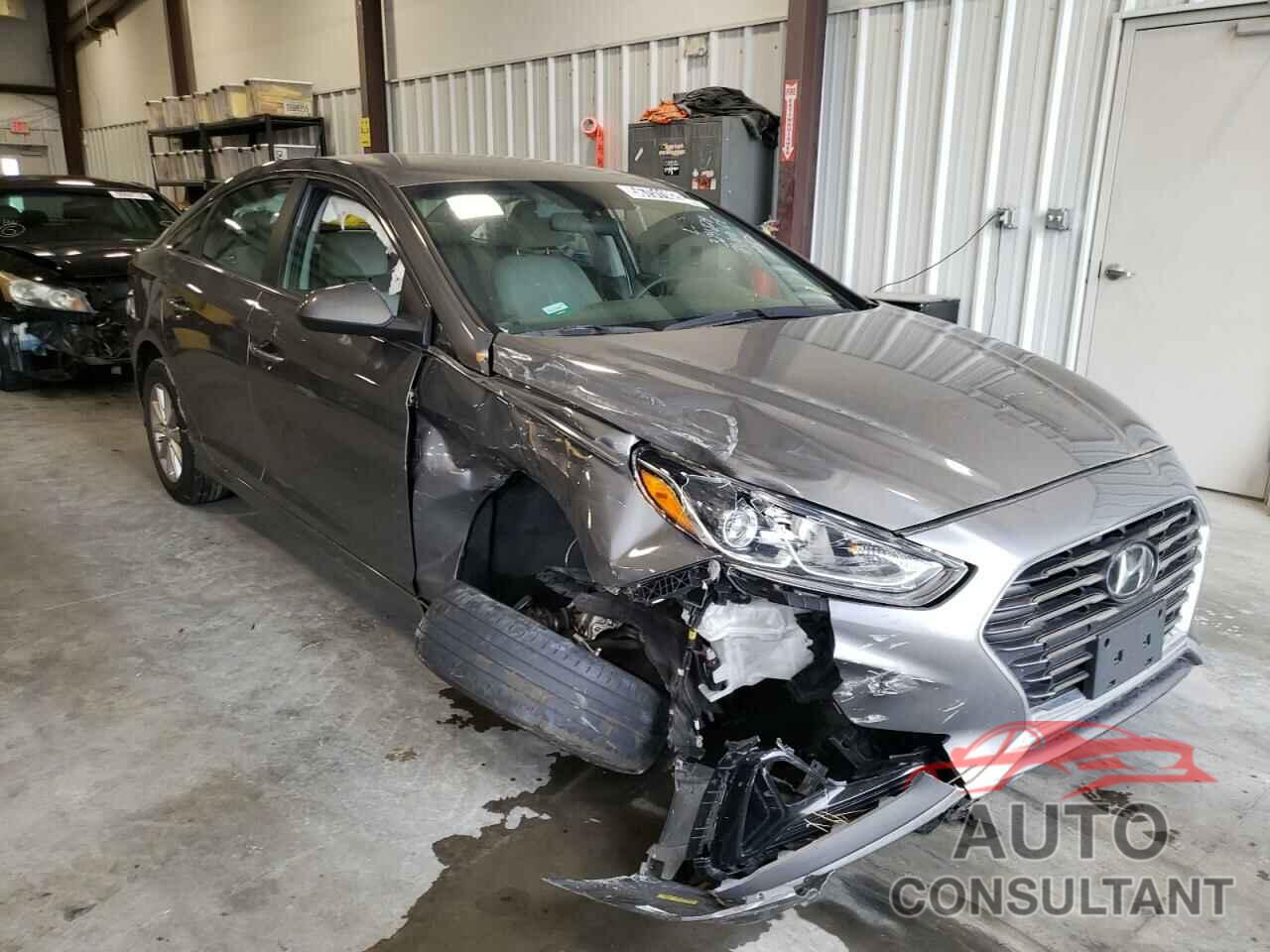 HYUNDAI SONATA 2019 - 5NPE24AF9KH802577
