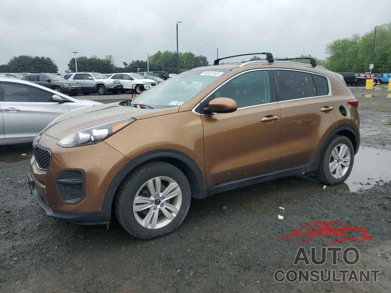 KIA SPORTAGE 2017 - KNDPM3AC3H7033462