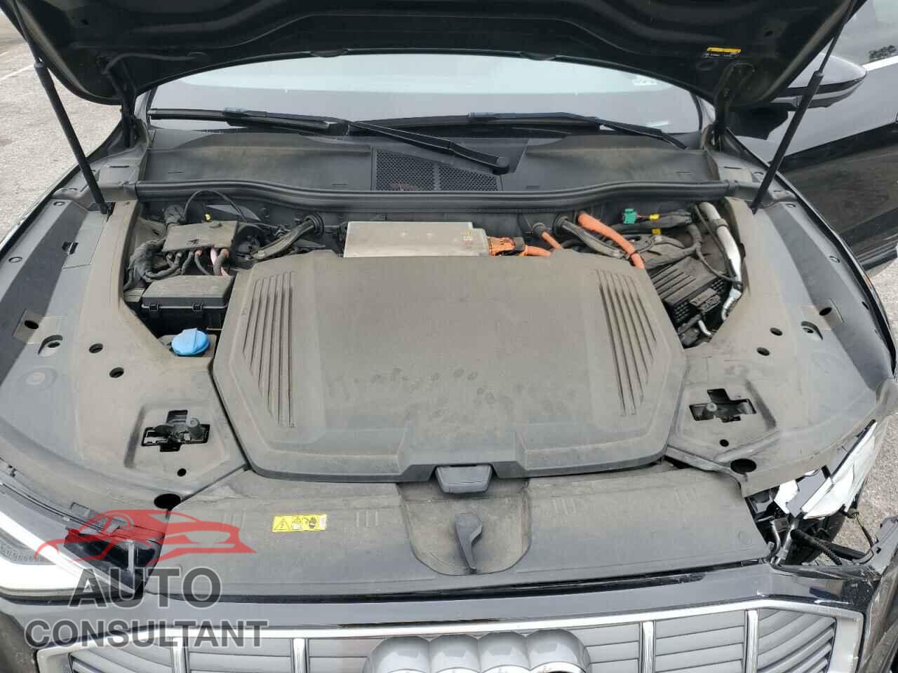 AUDI E-TRON 2022 - WA12AAGE7NB032155