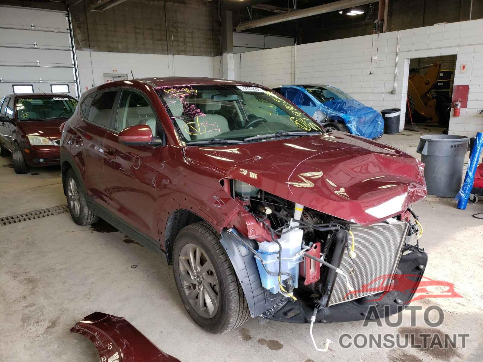 HYUNDAI TUCSON 2017 - KM8J23A41HU429990