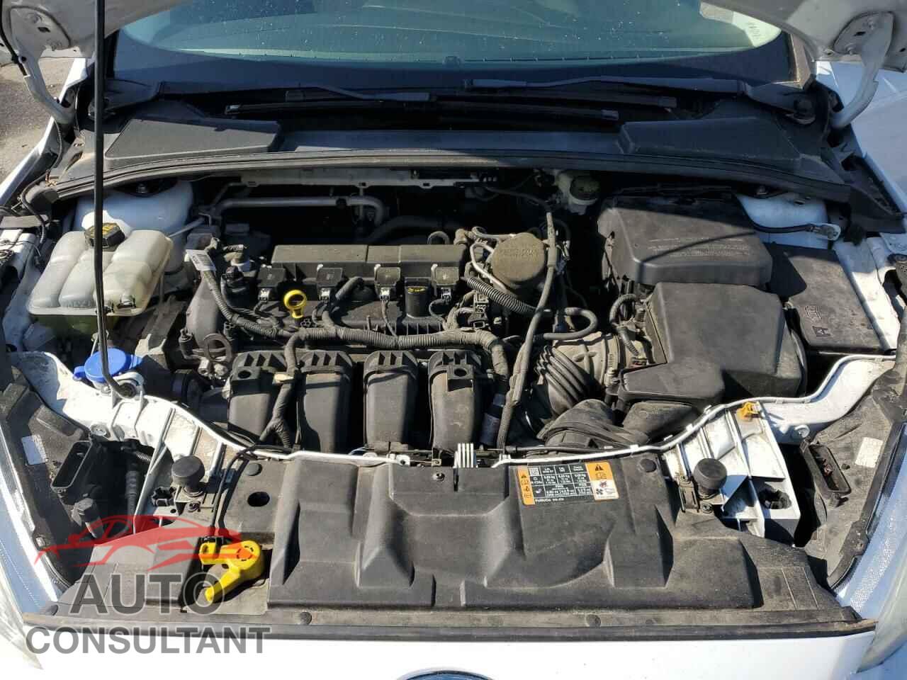 FORD FOCUS 2016 - 1FADP3K27GL317799