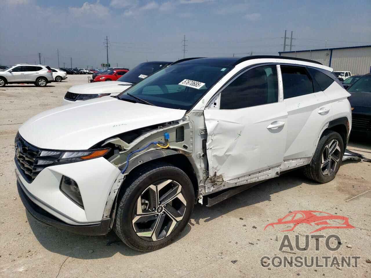 HYUNDAI TUCSON 2023 - KM8JFCA14PU093633