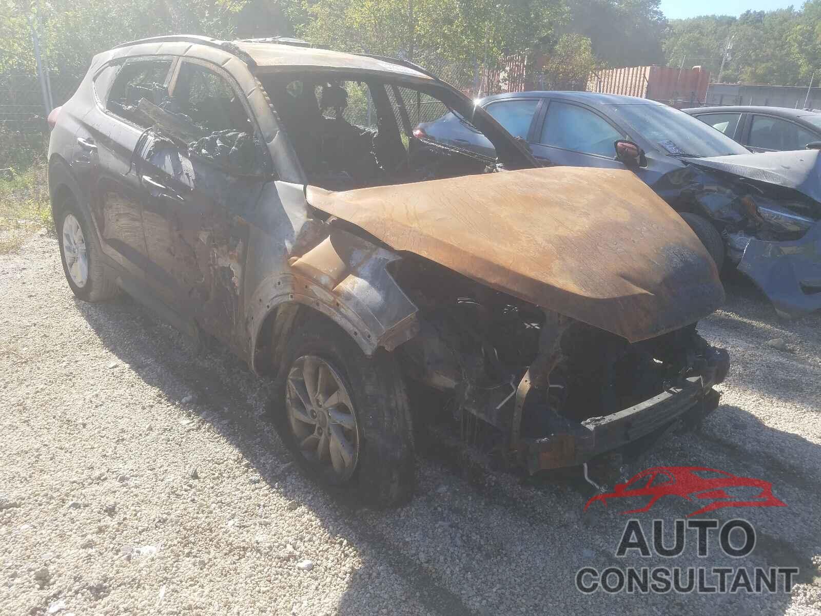HYUNDAI TUCSON 2016 - KM8J3CA24GU205400