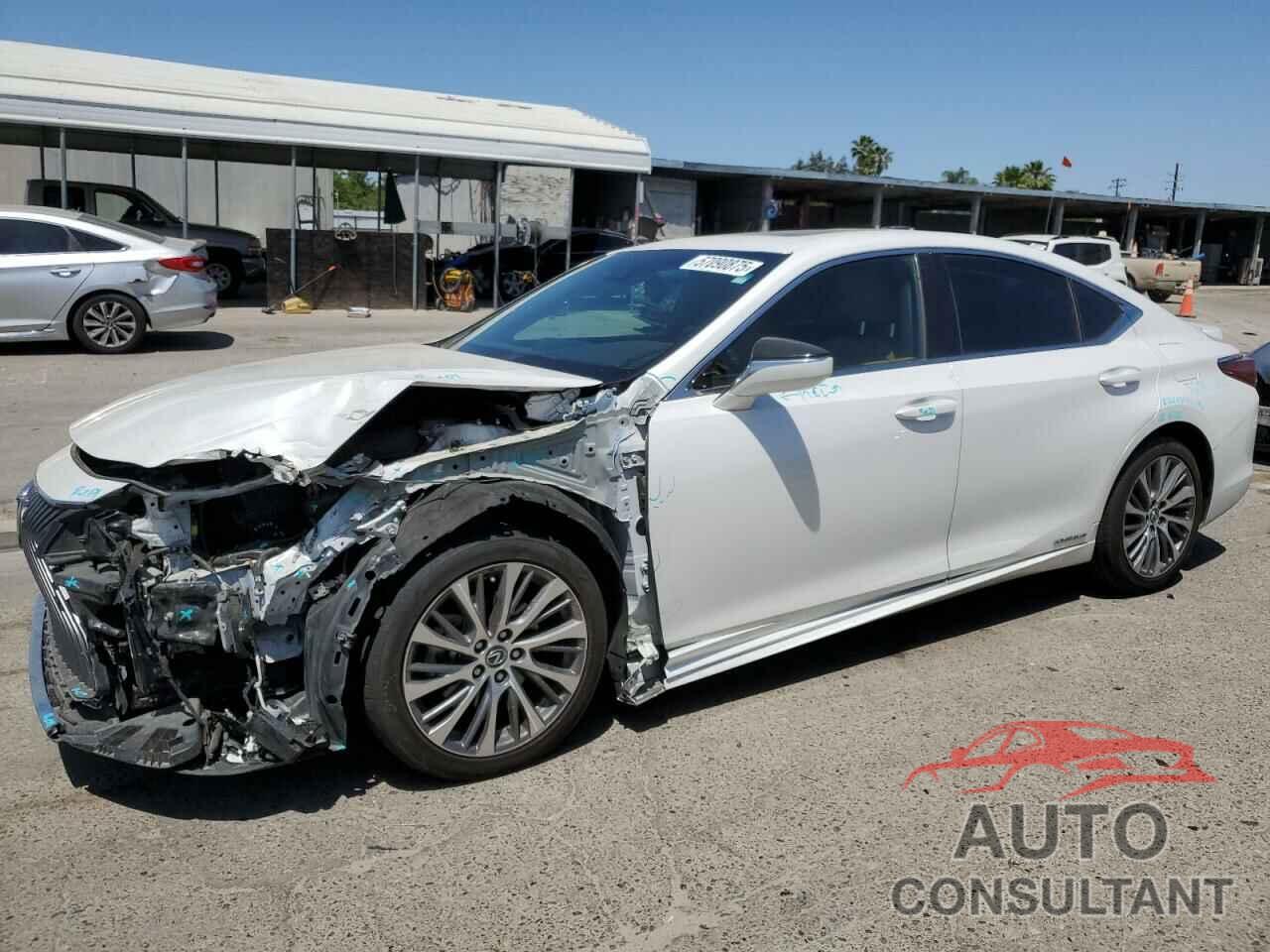 LEXUS ES300 2021 - 58ADA1C14MU003706