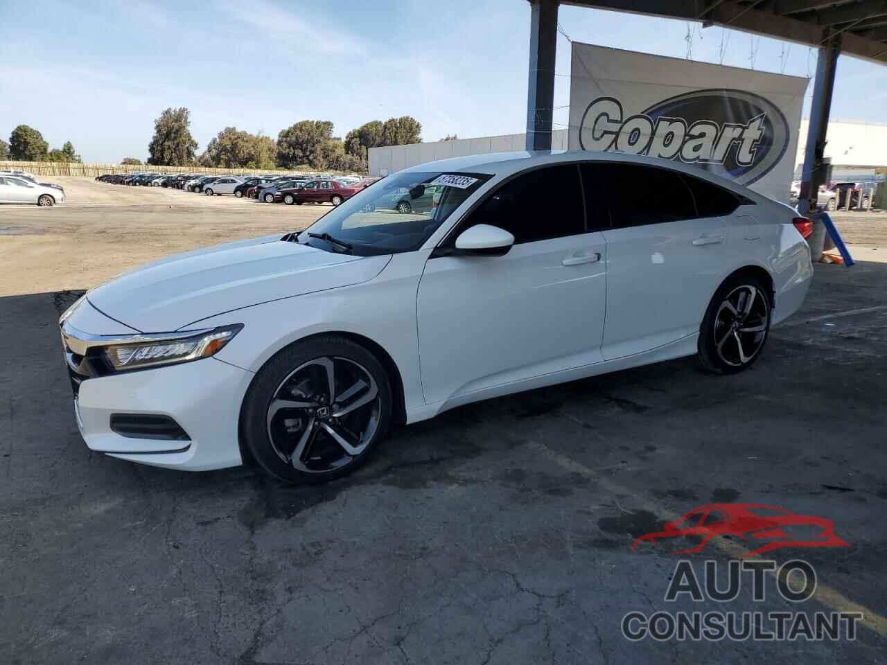 HONDA ACCORD 2019 - 1HGCV1F1XKA030965