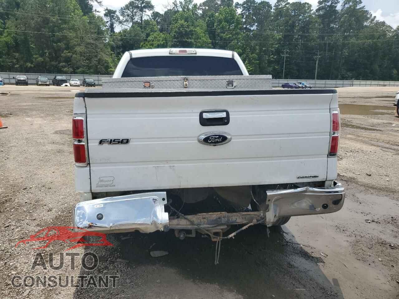 FORD F-150 2013 - 1FTFW1CF3DFD52748