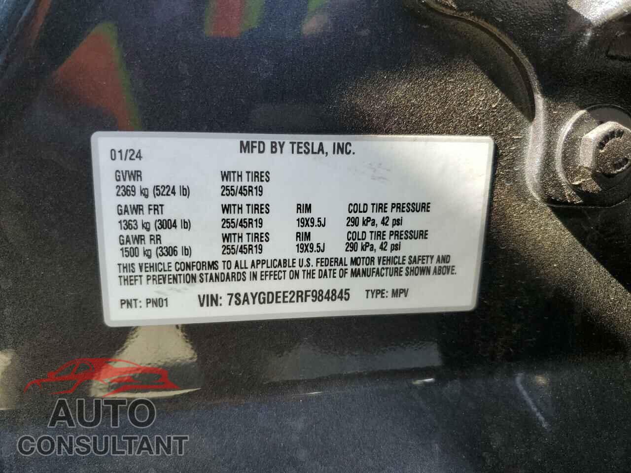TESLA MODEL Y 2024 - 7SAYGDEE2RF984845