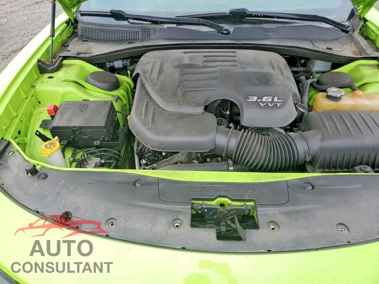 DODGE CHARGER 2019 - 2C3CDXJG5KH653996