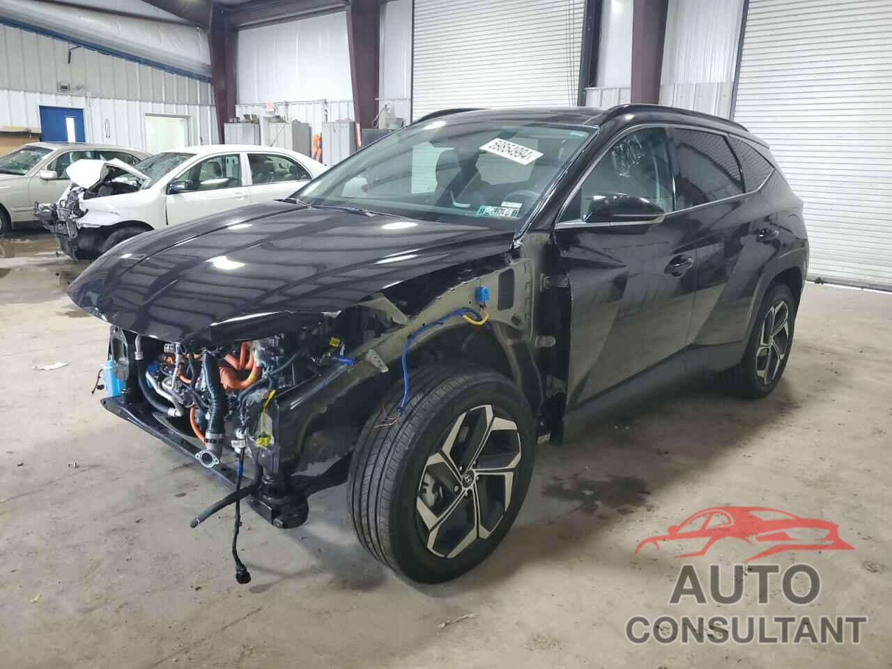 HYUNDAI TUCSON 2024 - KM8JECD18RU161000