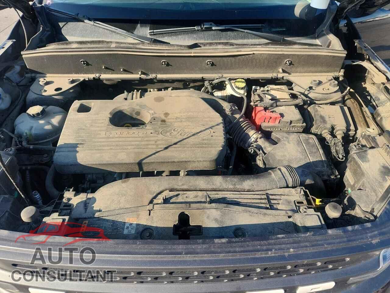FORD BRONCO 2021 - 3FMCR9D90MRA05376
