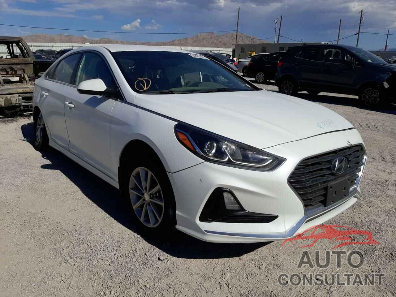 HYUNDAI SONATA 2019 - 5NPE24AF9KH806631