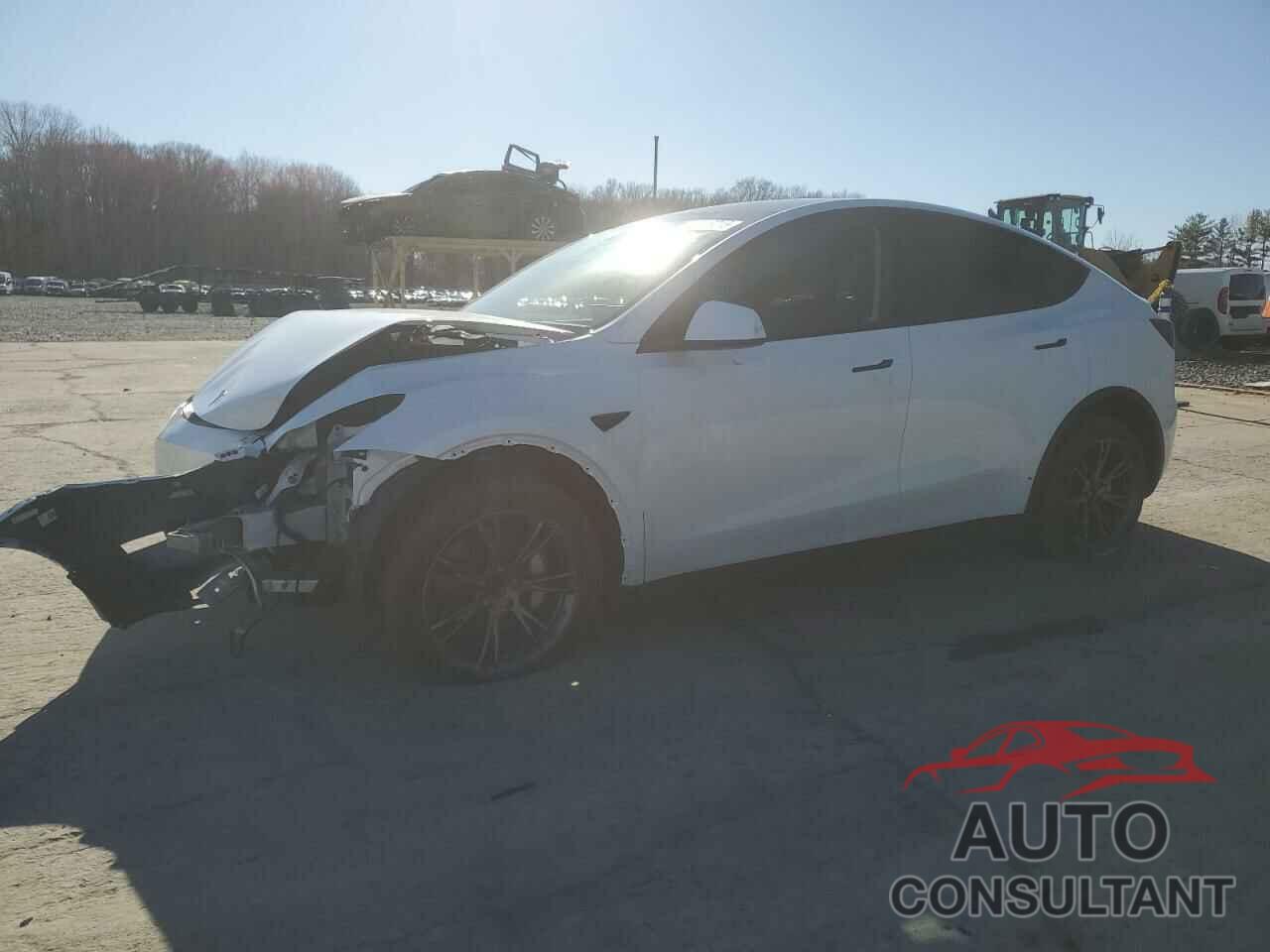 TESLA MODEL Y 2024 - 7SAYGDED1RF187025