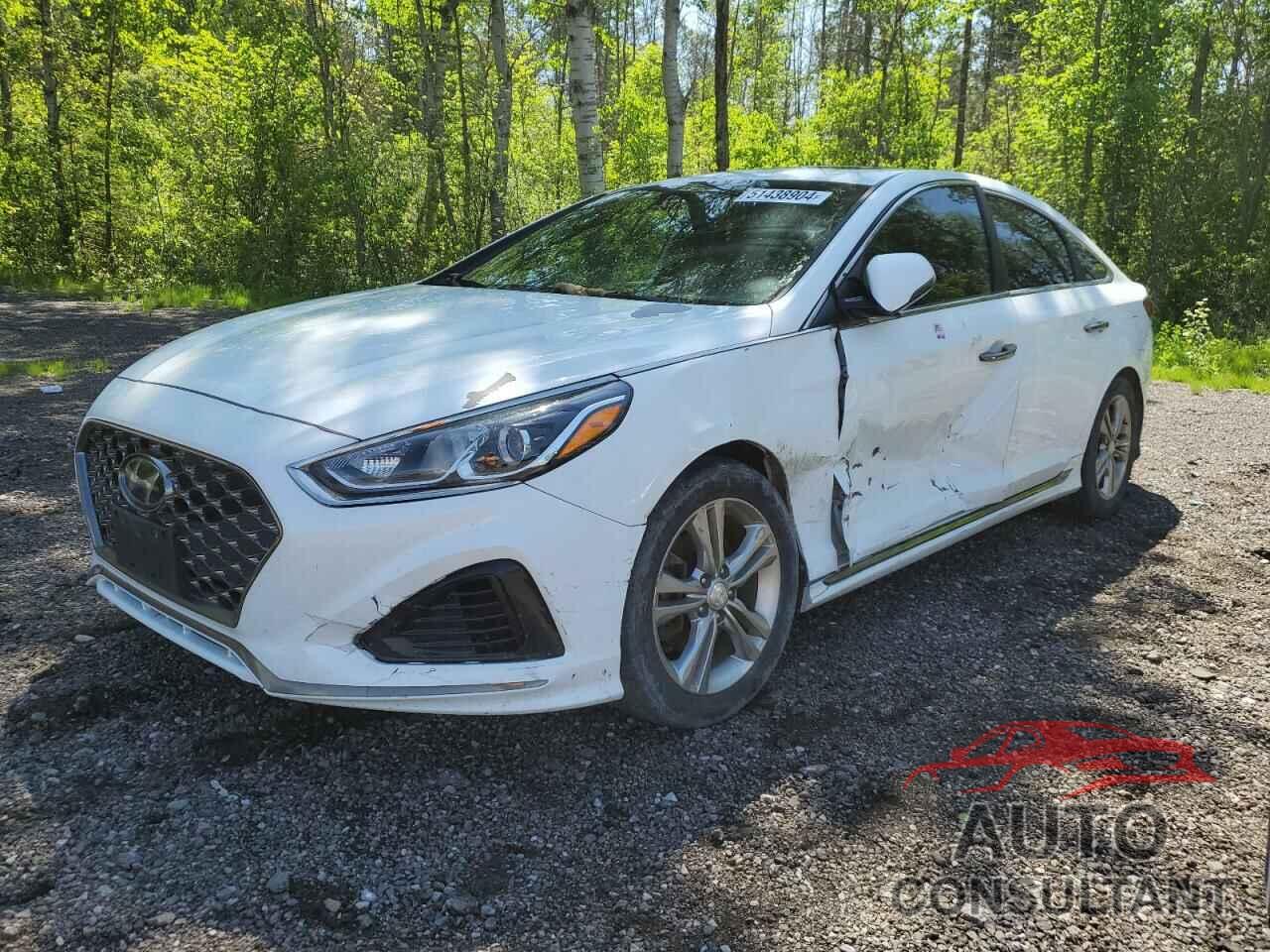 HYUNDAI SONATA 2018 - 5NPE34AF9JH642146