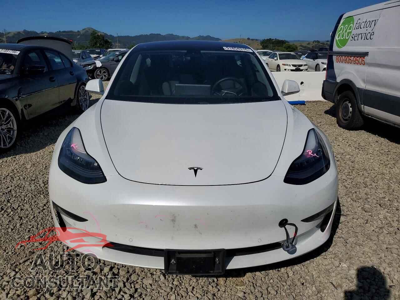 TESLA MODEL 3 2019 - 5YJ3E1EA3KF428901