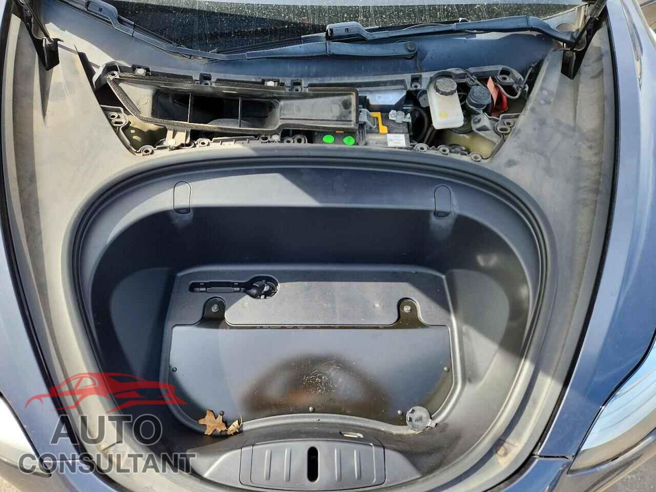 TESLA MODEL 3 2019 - 5YJ3E1EA9KF300808