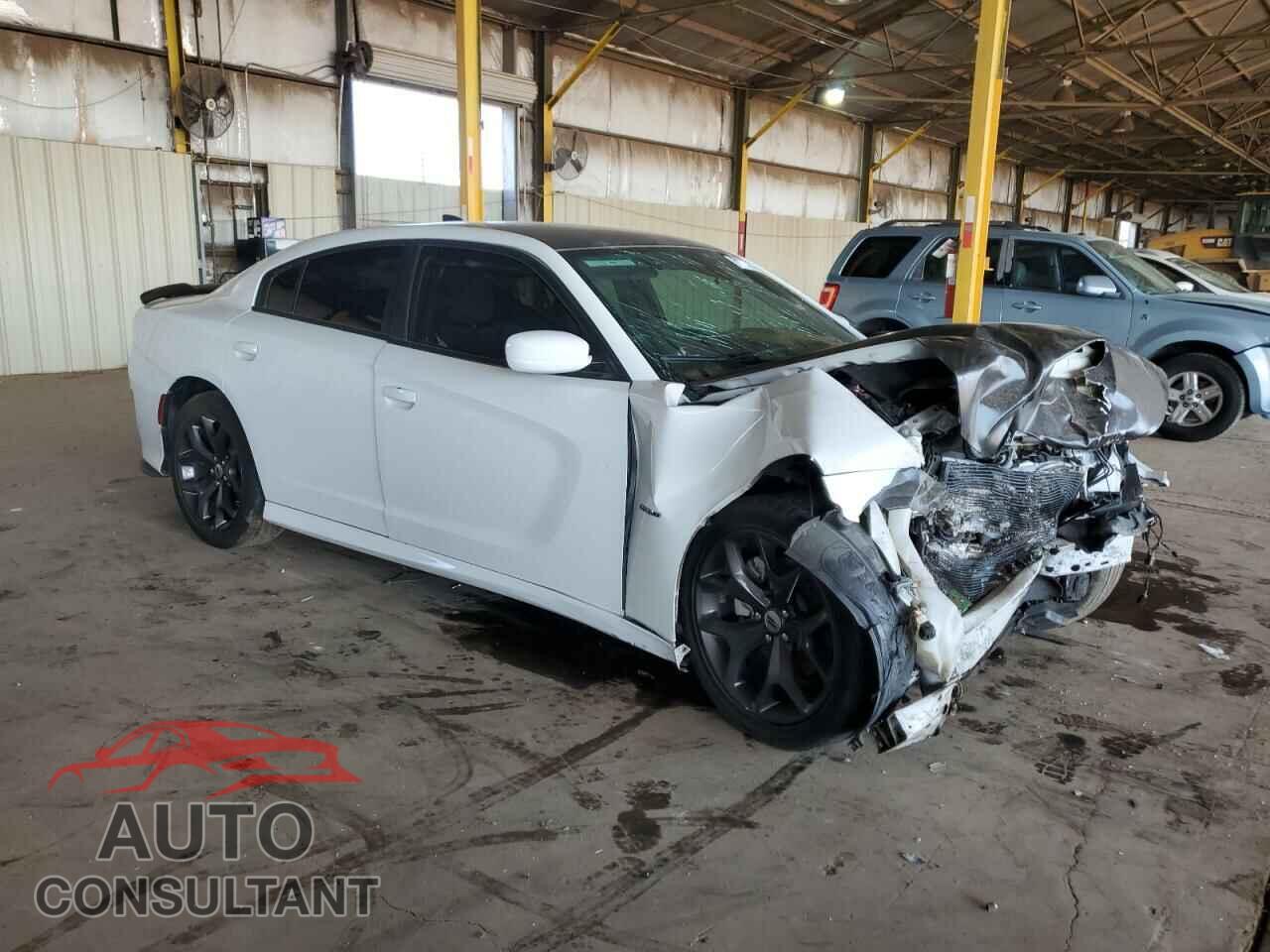 DODGE CHARGER 2019 - 2C3CDXCTXKH700353