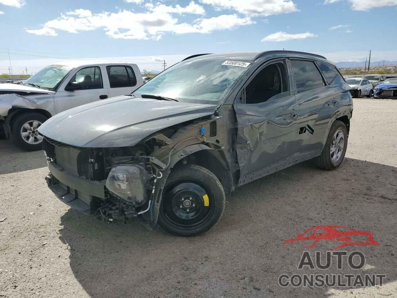 HYUNDAI TUCSON 2024 - 5NMJB3DE9RH397307