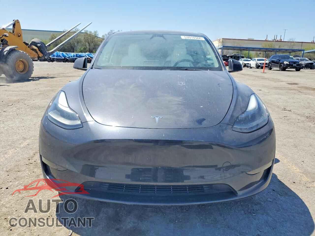 TESLA MODEL Y 2024 - 7SAYGDED3RF084821