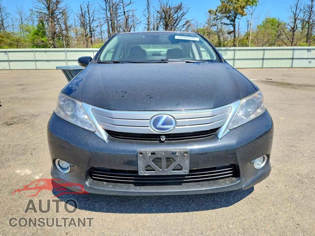 LEXUS HS 2010 - JTHBB1BA8A2018698