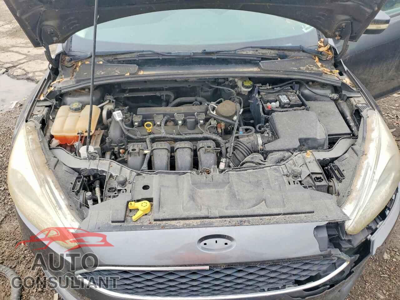 FORD FOCUS 2016 - 1FADP3F24GL208467
