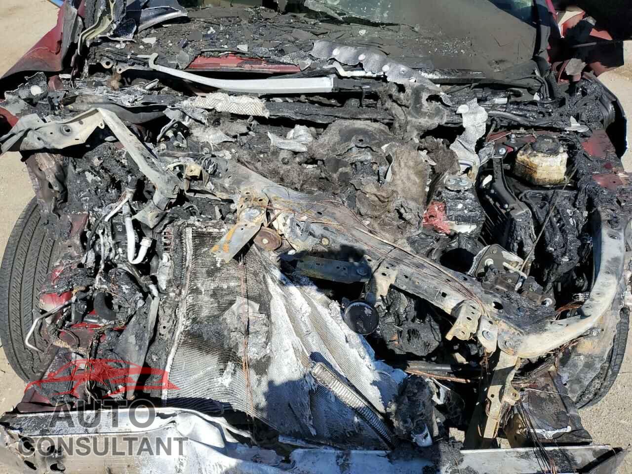 LEXUS RX350 2024 - 2T2BAMCA1RC054794