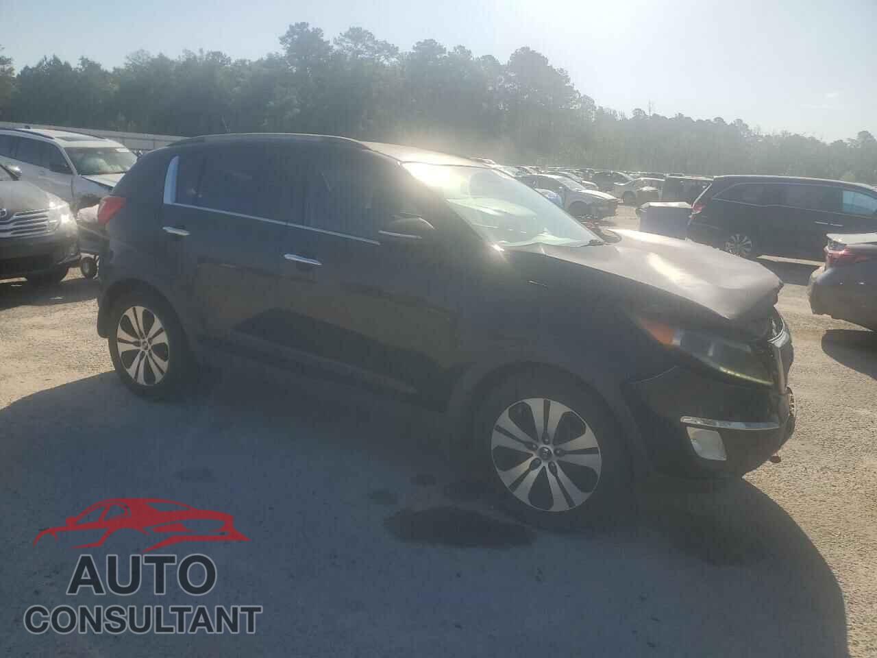 KIA SPORTAGE 2011 - KNDPC3A29B7145281