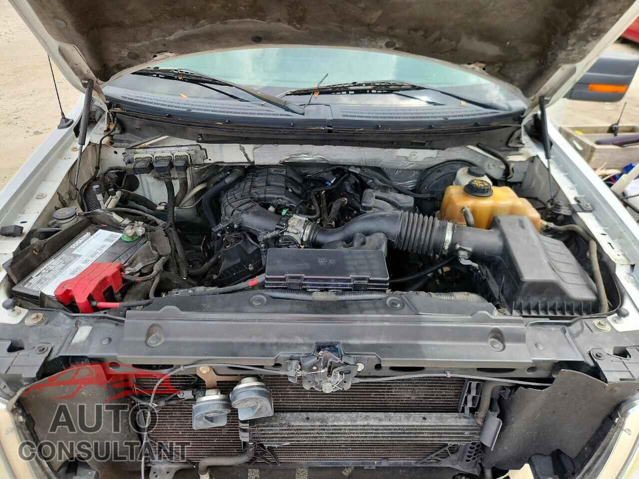 FORD F150 2011 - 1FTEW1CM8BKD06394