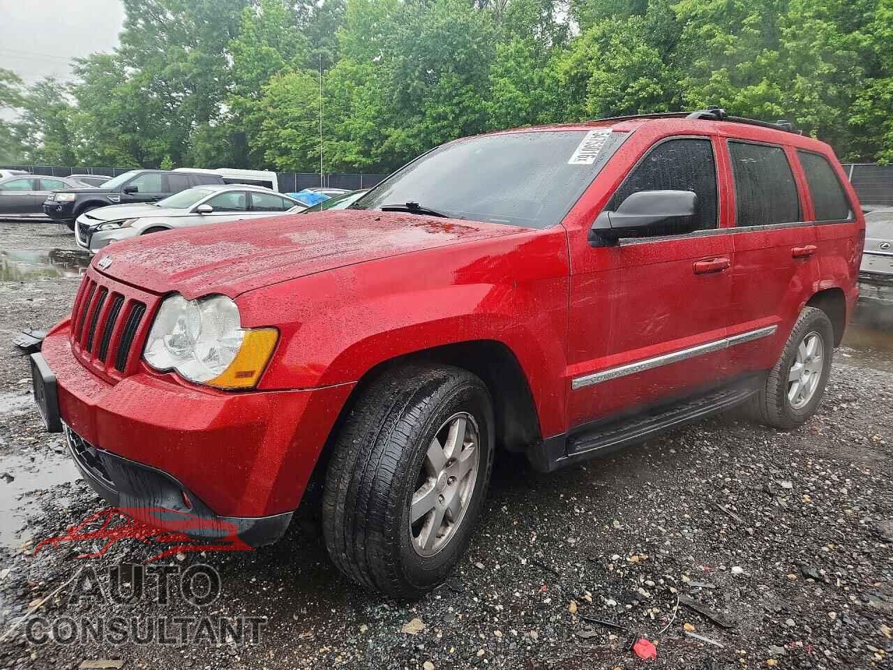 JEEP CHEROKEE 2010 - 1J4PR4GK9AC149004