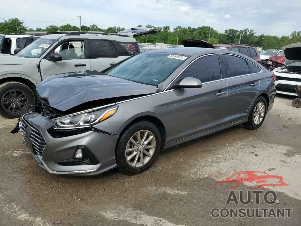 HYUNDAI SONATA 2019 - 5NPE24AF1KH738180