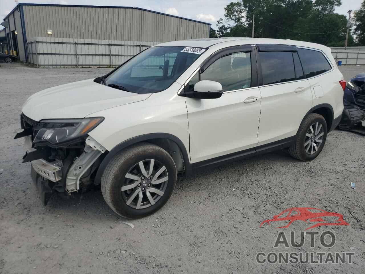 HONDA PILOT 2019 - 5FNYF6H56KB045761