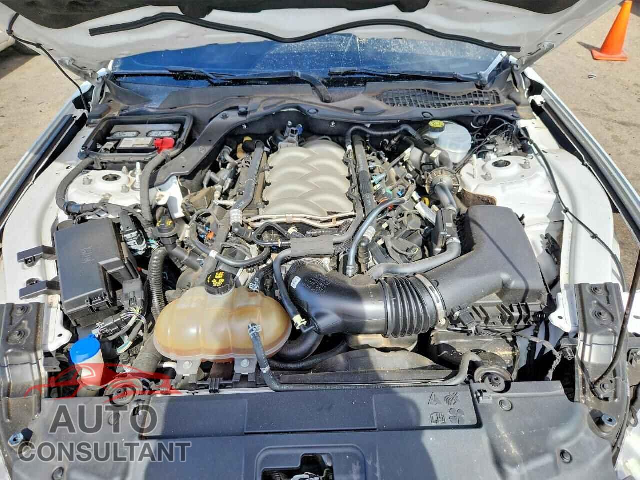 FORD MUSTANG 2020 - 1FA6P8CF3L5123115