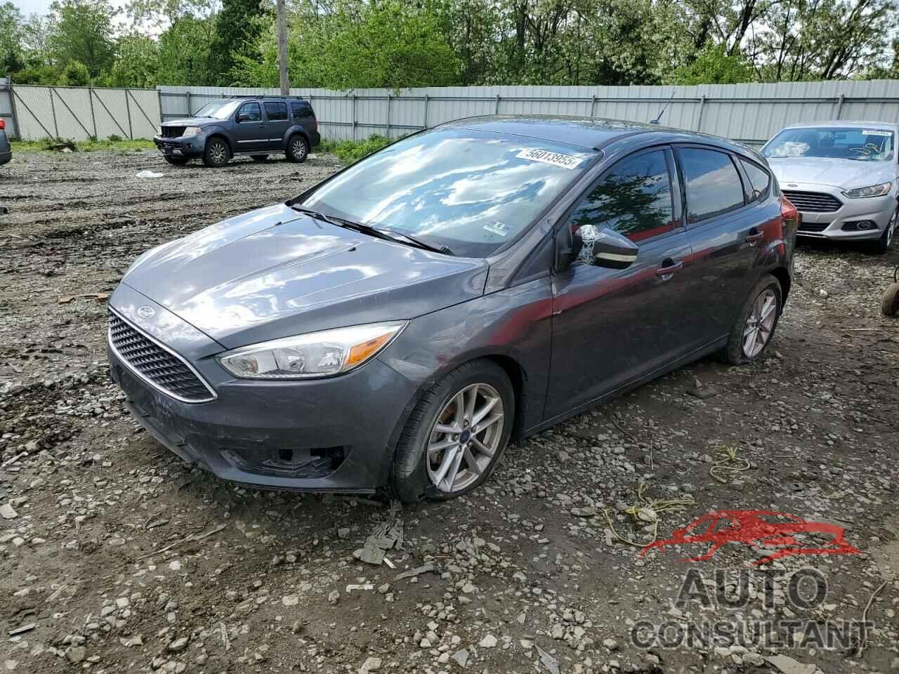 FORD FOCUS 2015 - 1FADP3K2XFL369586