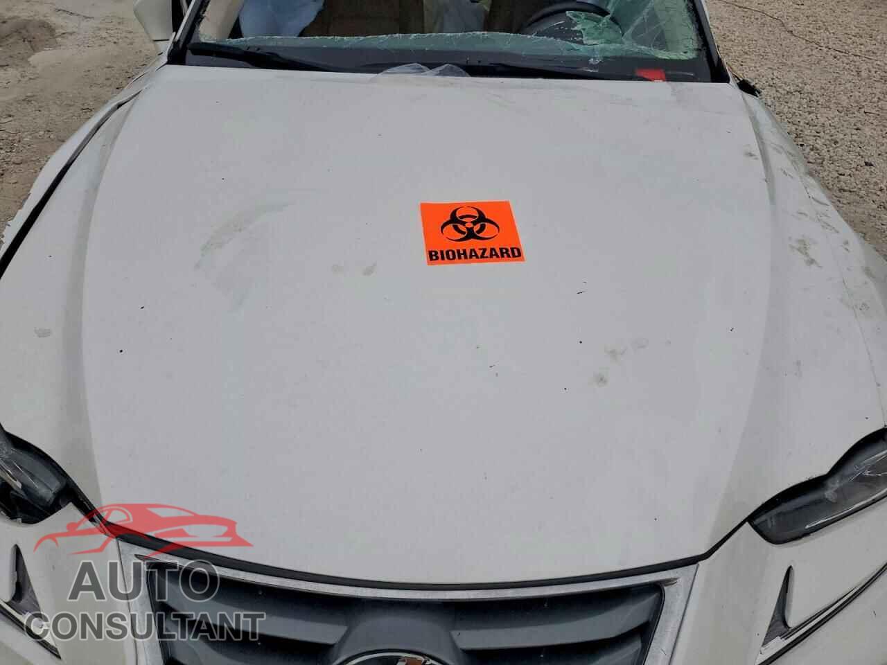 LEXUS IS 2019 - JTHBA1D28K5098593