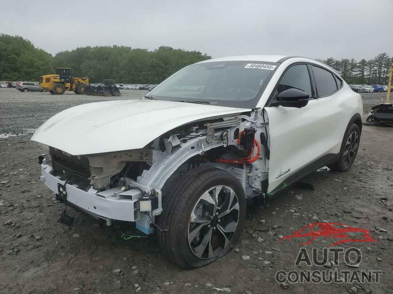 FORD MUSTANG 2024 - 3FMTK1SU1RMA45449