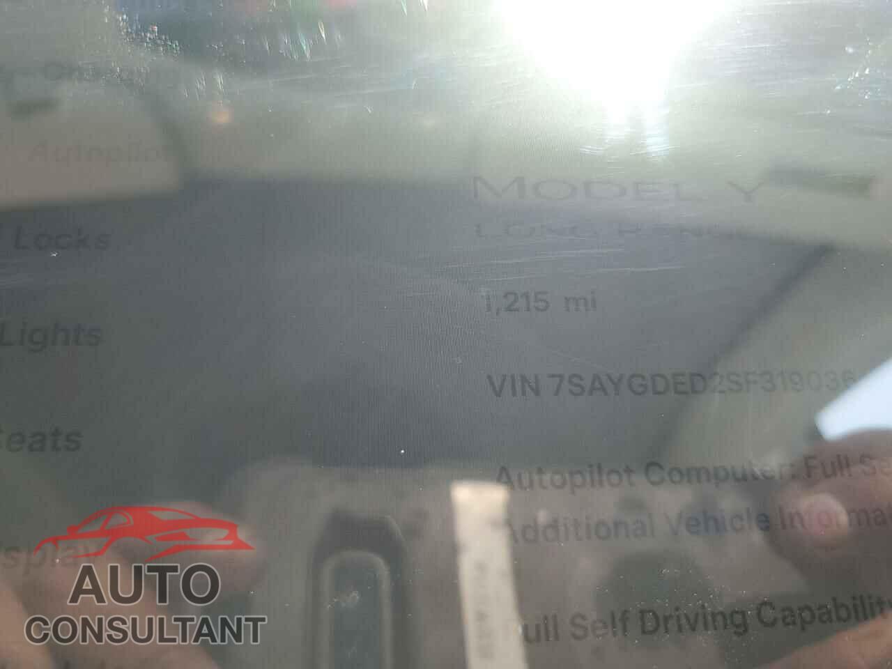 TESLA MODEL Y 2025 - 7SAYGDED2SF319036