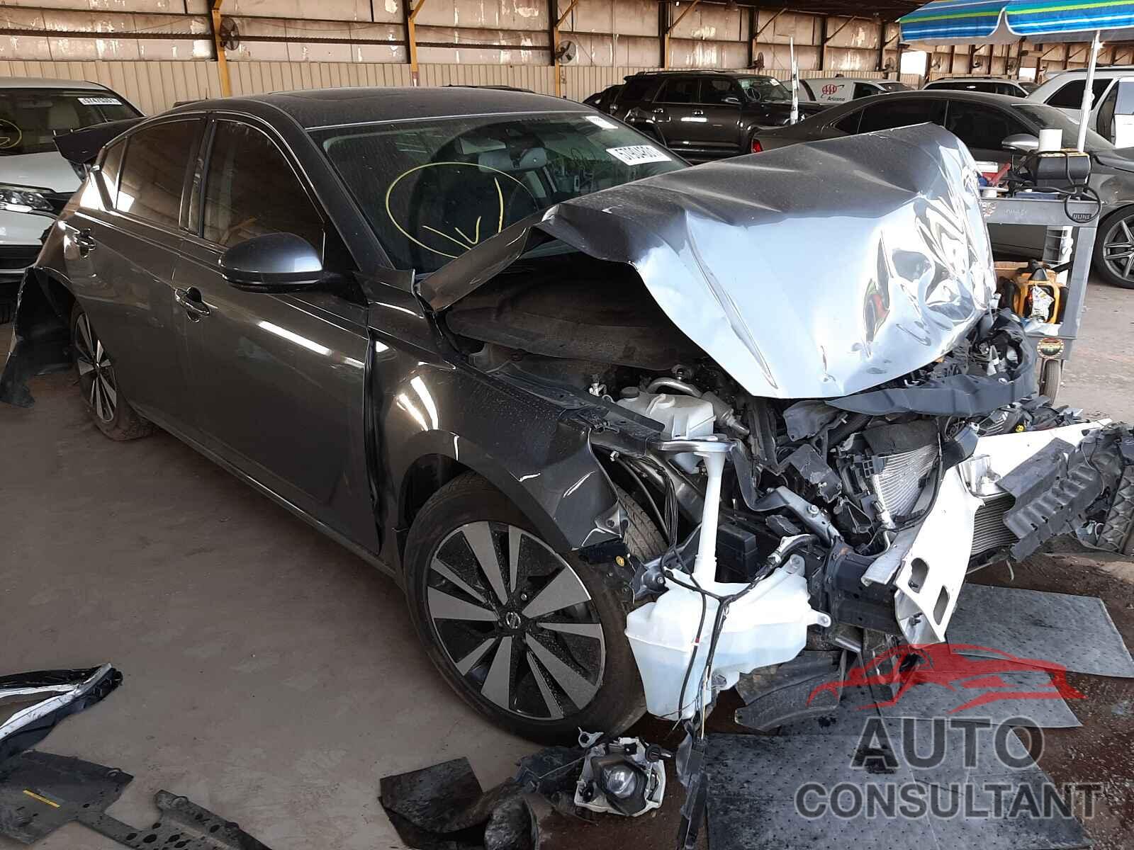 NISSAN ALTIMA SV 2019 - 1N4BL4DVXKC134664