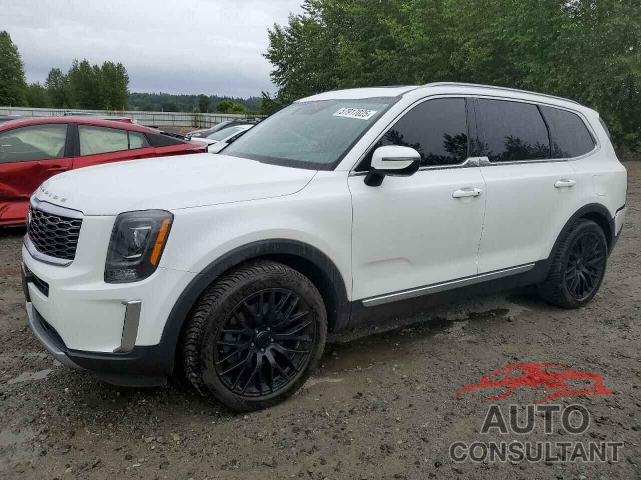 KIA TELLURIDE 2020 - 5XYP3DHC2LG046777