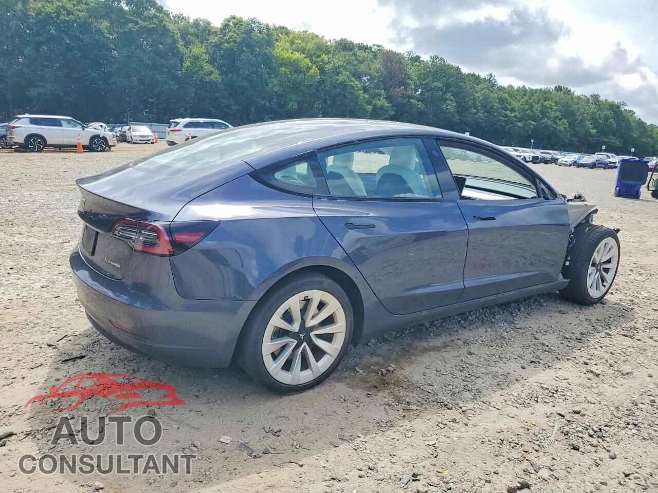 TESLA MODEL 3 2022 - 5YJ3E1EBXNF198139