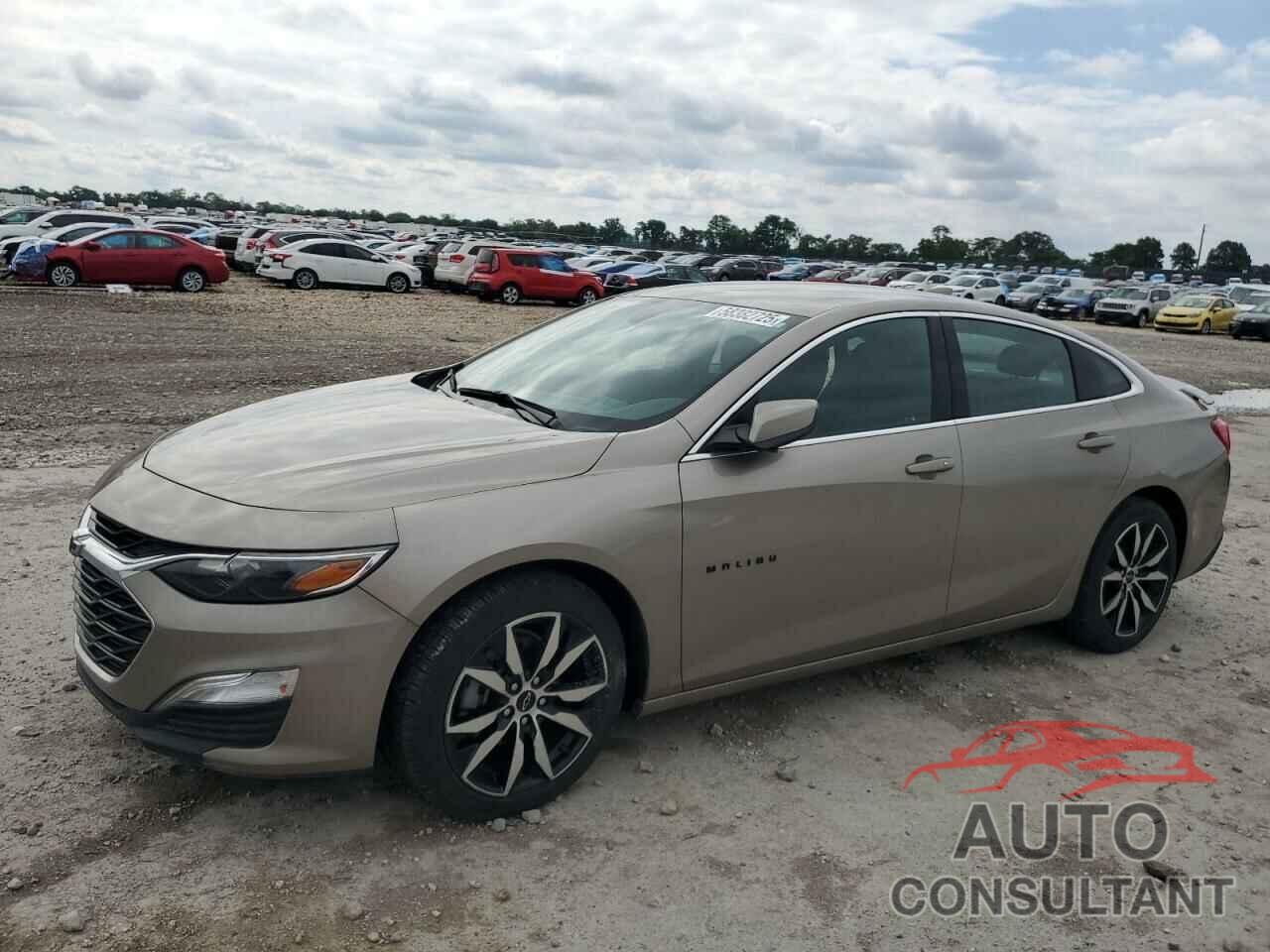 CHEVROLET MALIBU 2022 - 1G1ZG5ST1NF182019