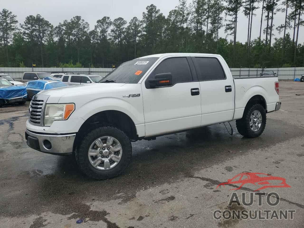 FORD F-150 2011 - 1FTFW1CF5BFD20767