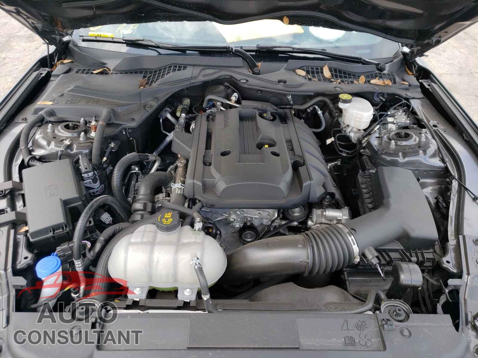 FORD MUSTANG 2020 - 1FA6P8TH4L5175306