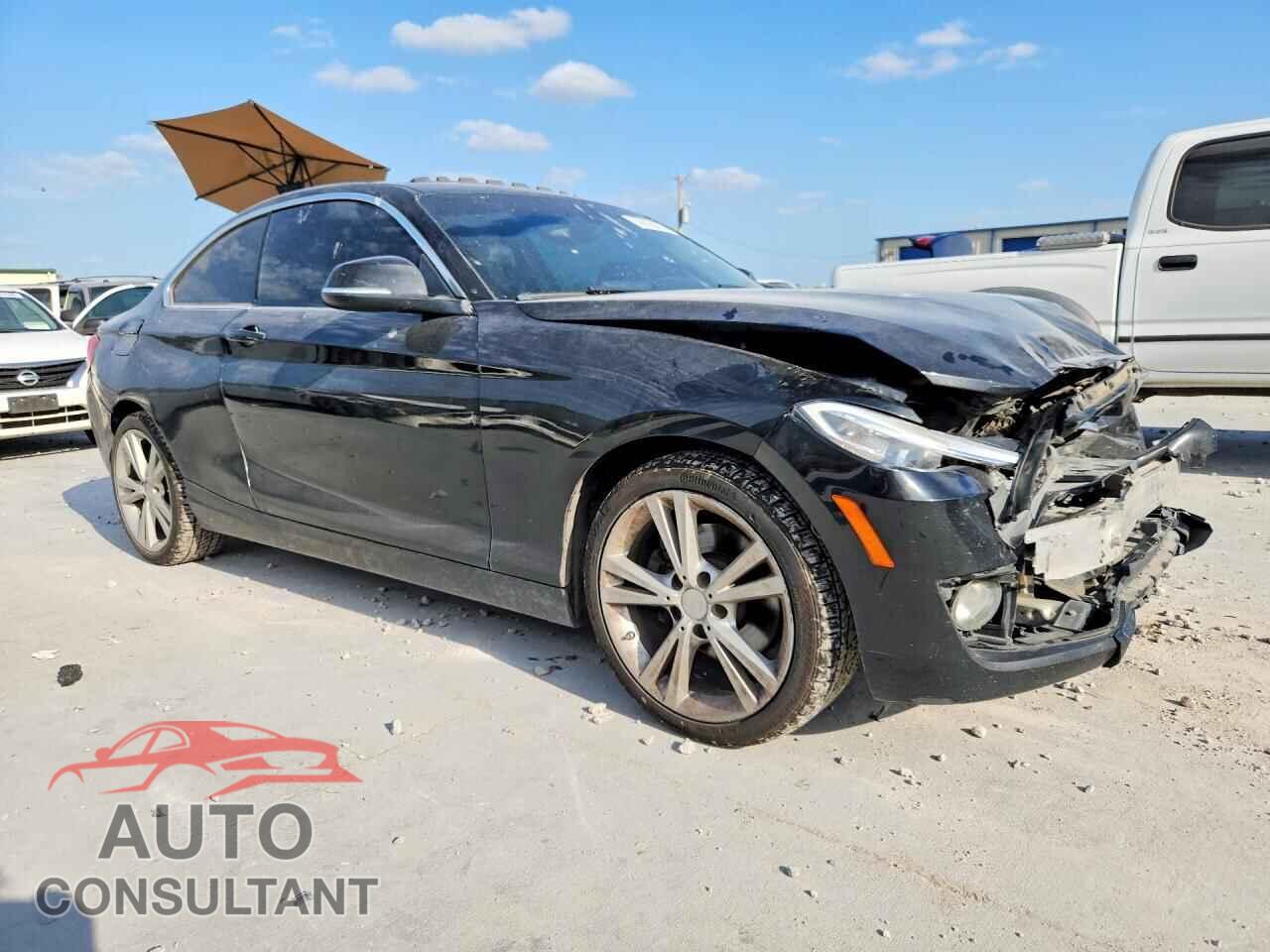 BMW 2 SERIES 2015 - WBA1F5C58FV257391