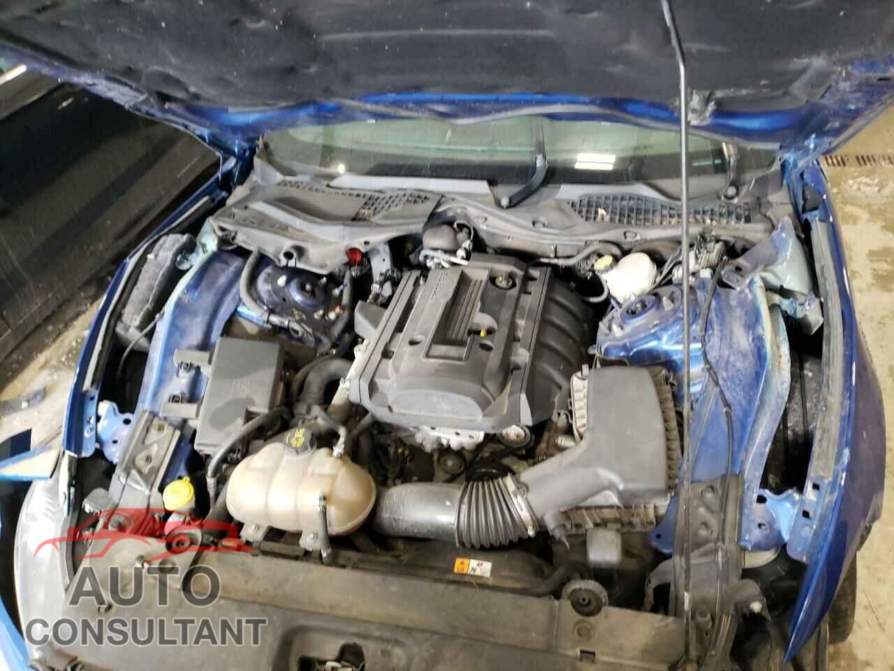 FORD MUSTANG 2017 - 1FA6P8TH8H5228614