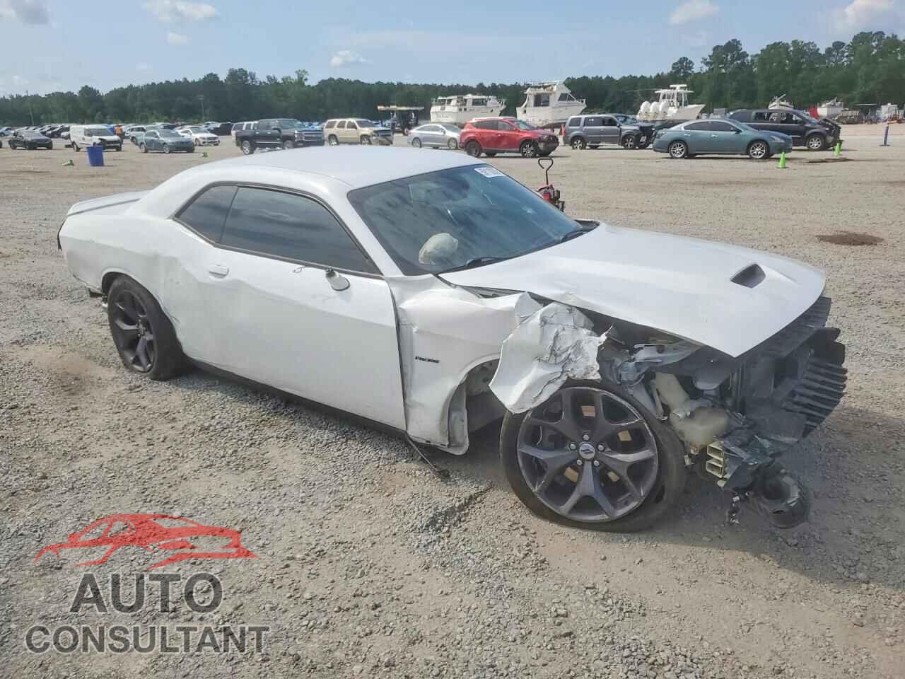 DODGE CHALLENGER 2019 - 2C3CDZBT5KH612551