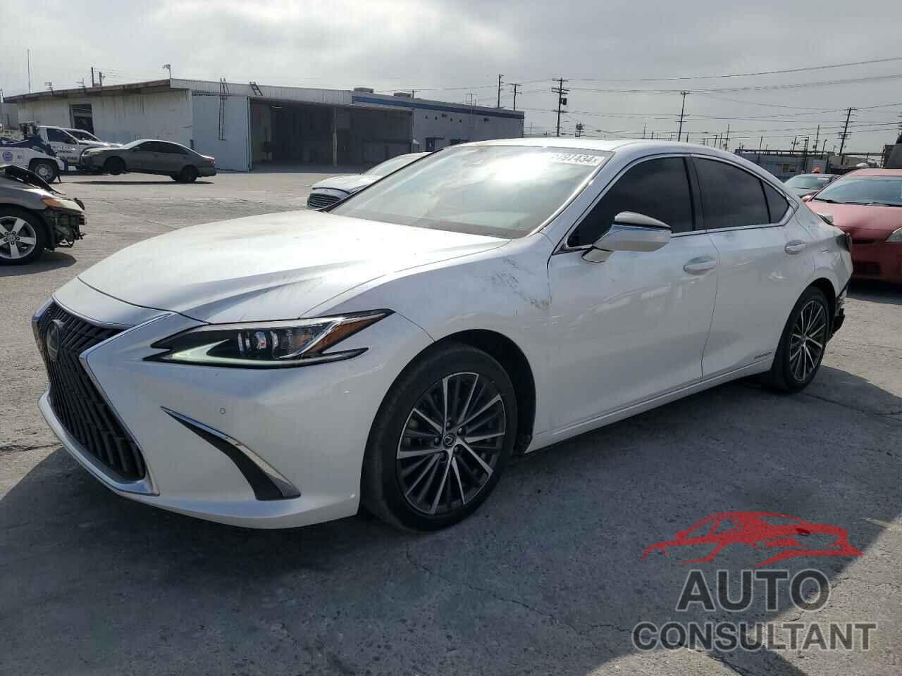 LEXUS ES300 2022 - 58ADA1C17NU017391
